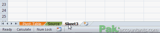 duplicate worksheet
