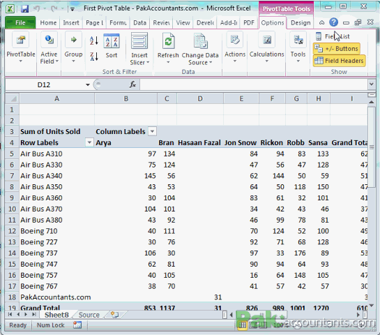 pivot table sales person 2