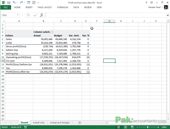 profit and loss variance 4
